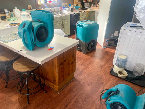 Best Sewage cleanup and water damage restoration  in Brodhead, KY