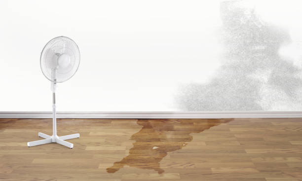 Best Water damage restoration near me  in Brodhead, KY
