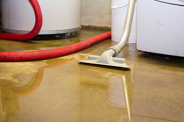 Best Commercial water damage restoration  in Brodhead, KY