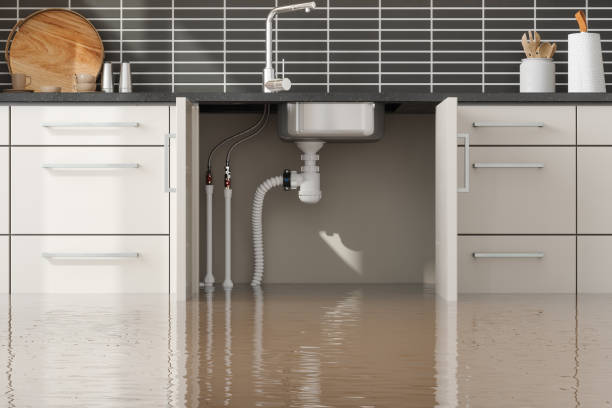 Best Water damage contractors near me  in Brodhead, KY