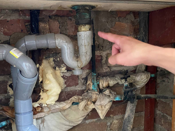 Best Flood damage cleanup  in Brodhead, KY