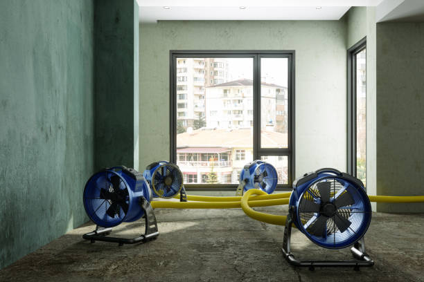 Sewage cleanup and water damage restoration in Brodhead, KY