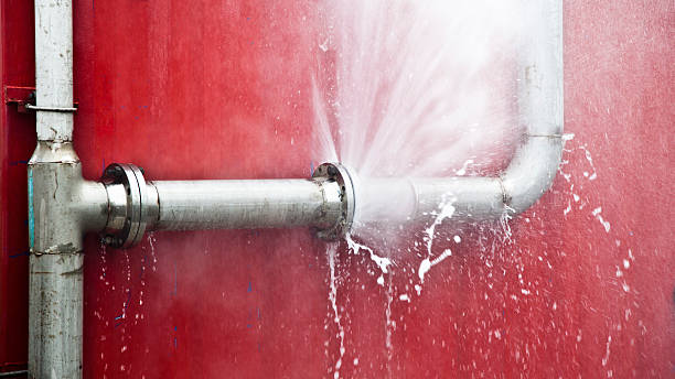 Best Water damage mitigation services  in Brodhead, KY